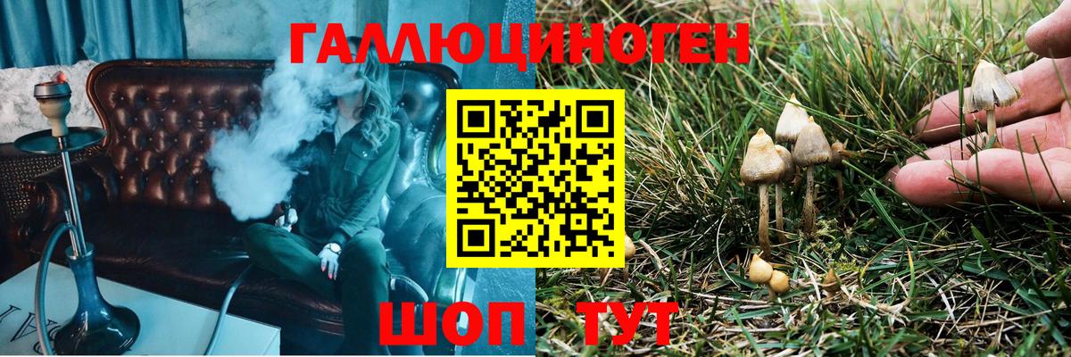 Псилоцибиновые грибы GOLDEN TEACHER  Вход с VPN  наркотики  Одинцово 